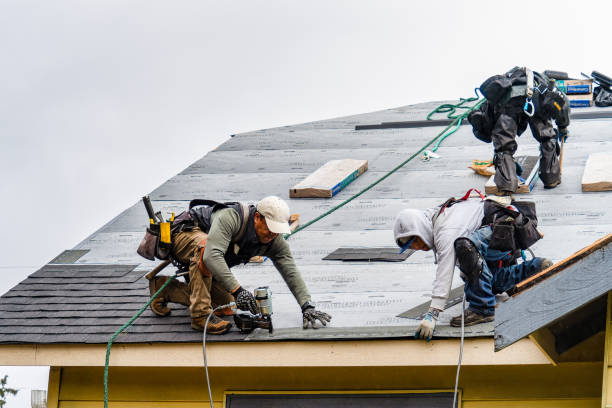 Professional Storm Damage Roof Repair technician working in Evansville, MN